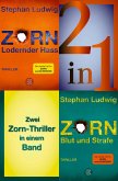 Lodernder Hass / Blut und Strafe - Zwei Zorn-Thriller in einem Band (eBook, ePUB)