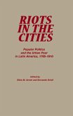 Riots in the Cities (eBook, PDF)