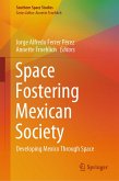 Space Fostering Mexican Society (eBook, PDF)