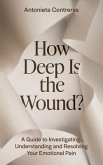 How Deep Is the Wound? (eBook, ePUB)