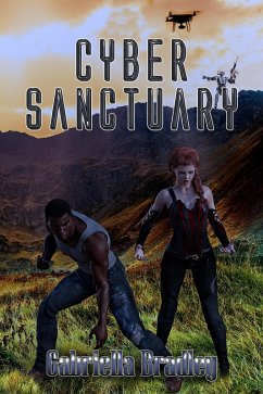 Cover Cyber Sanctuary (eBook, ePUB)