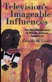 Television's Imageable Influences (eBook, PDF)
