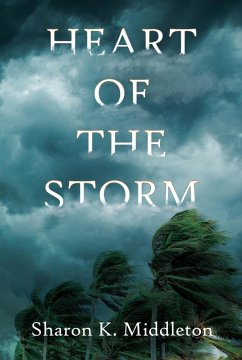 Cover Heart of the Storm (A McCarron's Corner Mystery, #1) (eBook, ePUB)