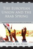 The European Union and the Arab Spring (eBook, PDF)