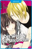 Der Wolf und die Streunerin 01 (eBook, ePUB)