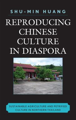 Cover Reproducing Chinese Culture in Diaspora (eBook, PDF)