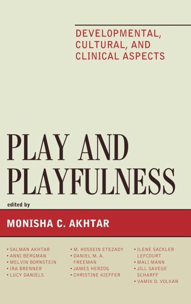 Play and Playfulness (eBook, PDF)