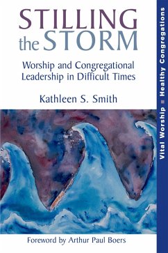 Cover Stilling the Storm (eBook, PDF)