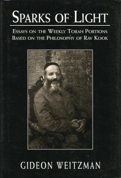 Cover Sparks of Light (eBook, PDF)