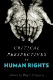 Critical Perspectives on Human Rights (eBook, PDF)