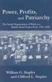 Power, Profits, and Patriarchy (eBook, PDF)