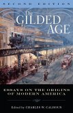 The Gilded Age (eBook, PDF)