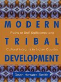 Modern Tribal Development (eBook, PDF)