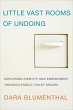 Little Vast Rooms of Undoing (eBook,... - Bild 1