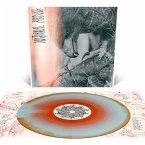 Nocturnal Birding Nocturnal Birding