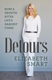 Detours (eBook, ePUB)