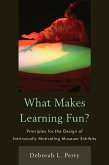 What Makes Learning Fun? (eBook, PDF)