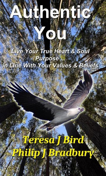 Authentic You (eBook, ePUB)