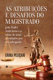 As atribuições e desafios do magistrado pelo poder judiciário e a visão de suas atividades por um Advogado (eBook, ePUB)