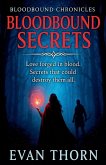 Bloodbound Secrets