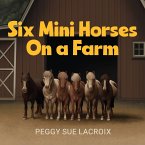 Six Mini Horses On a Farm