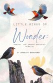 Little Wings of Wonder Little Wings of Wonder