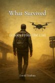 What Survived Echoes From The End (eBook, ePUB)
