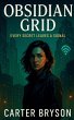Obsidian Grid - Bild 1