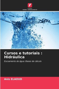 Cover Cursos e tutoriais : Hidráulica