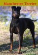 Manchester Terrier - Bild 1