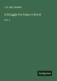 A Struggle For Fame: A Novel