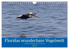 Floridas wunderbare Vogelwelt (Wandkalender 2026 DIN A4 quer), CALVENDO Monatskalender Cover Floridas wunderbare Vogelwelt (Wandkalender 2026 DIN A4 quer), CALVENDO Monatskalender