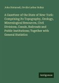 A Gazetteer of the State of New-York: Comprising Its Topography, Geology, Mineralogical Resources, Civil Divisions, Canals, Railroads and Public Institutions; Together with General Statistics