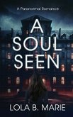 A Soul Seen A Soul Seen