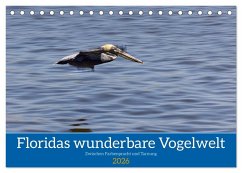 Floridas wunderbare Vogelwelt (Tischkalender 2026 DIN A5 quer), CALVENDO Monatskalender Cover Floridas wunderbare Vogelwelt (Tischkalender 2026 DIN A5 quer), CALVENDO Monatskalender