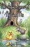 The Adventures of Pip and Pix