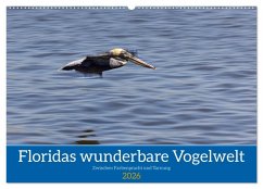Floridas wunderbare Vogelwelt (Wandkalender 2026 DIN A2 quer), CALVENDO Monatskalender Cover Floridas wunderbare Vogelwelt (Wandkalender 2026 DIN A2 quer), CALVENDO Monatskalender