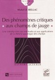 Des phénomènes critiques aux champs de jauge (eBook, PDF)