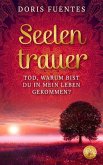 Seelentrauer (eBook, ePUB)