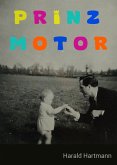 Prinz Motor (eBook, ePUB)