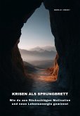 Krisen als Sprungbrett (eBook, ePUB)