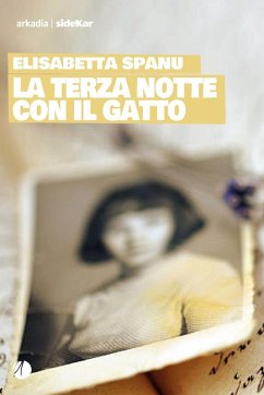 Cover La terza notte con il gatto