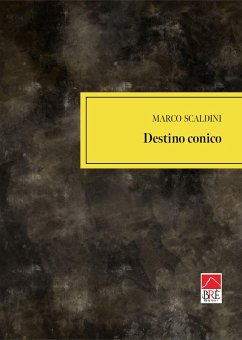 Destino conico - Scaldini, Marco Destino conico - Scaldini, Marco