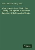 A Trip to Music-Land. A Fairy Tale Forming an Allegorical and Pictorial Exposition of the Elements of Music
