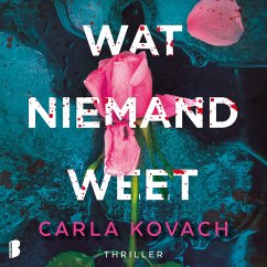 Cover Wat niemand weet (MP3-Download)