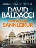 Einfaldur sannleikur (eBook, ePUB)