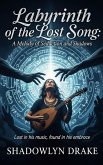 Labyrinth of the Lost Song: A Melody of Seduction and Shadows (eBook, ePUB)