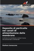 Deposito di particelle nei canali di alimentazione delle membrane Deposito di particelle nei canali di alimentazione delle membrane