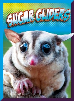 Cover Sugar Gliders