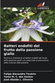 Batteri endofiti del frutto della passione giallo Batteri endofiti del frutto della passione giallo